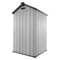 Abri de jardin en résine brossée DOCKER 1,24m² skylight + plancher - Jobu