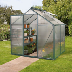 Serre Triton 2,5m² en aluminium émeraude et panneaux de polycarbonate 4mm - Vitavia
