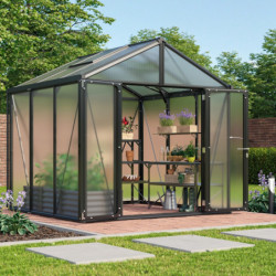 Serre de jardin Zeus Comfort 6,2m² en alu noir et polycarbonate 10mm - Vitavia