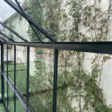 Serre de jardin 10,92m² en aluminium anthracite et verre trempé 4mm - Green Protect