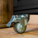Mini-serre Polis 0,35m² en alu noir et PC 4mm – sur roulettes – Vitavia