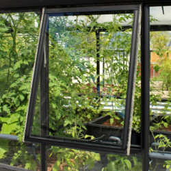 Fenêtre latérale H – alu noir et verre ESG 3mm – pour serres de jardin Vitavia
