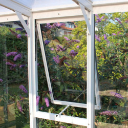 Fenêtre latérale H – alu blanc et verre ESG 3mm – pour serres de jardin Vitavia