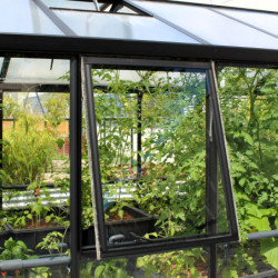 Fenêtre latérale Z – alu noir et verre ESG 3mm – pour serres de jardin Vitavia