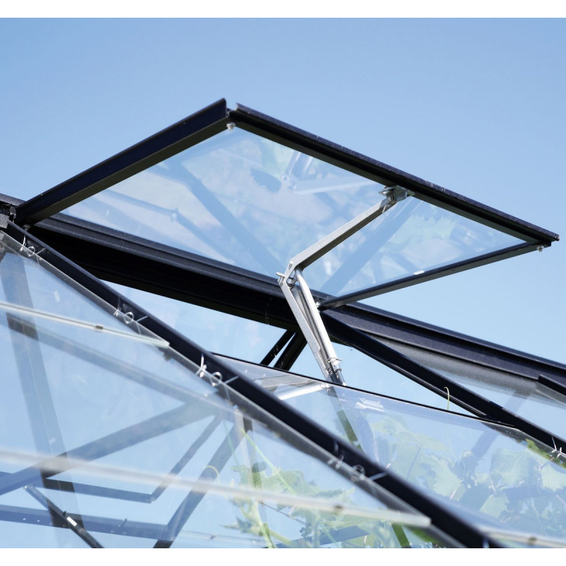 Fenêtre de toit – alu noir sans vitrage – pour serres de jardin Vitavia