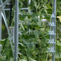 Fenêtre latérale à lamelles en alu anodisé pour serres de jardin Vitavia