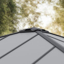 Carport double Colorado 422x607cm en aluminium et polycarbonate 6mm - Palram - Canopia