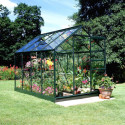 Pack de serre de jardin 5m² Popular 86 verte en verre horticole 3mm + embase noir - Halls