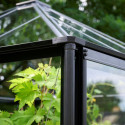Serre de jardin 6,3m² Qube Square noire en verre trempé - Halls