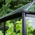 Serre de jardin 6,3m² Qube Square noire en verre trempé - Halls