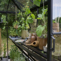 Serre de jardin 6,3m² Qube Square noire en verre trempé - Halls