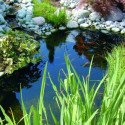 Bassin de jardin préformé 3800L Neptune - Ubbink