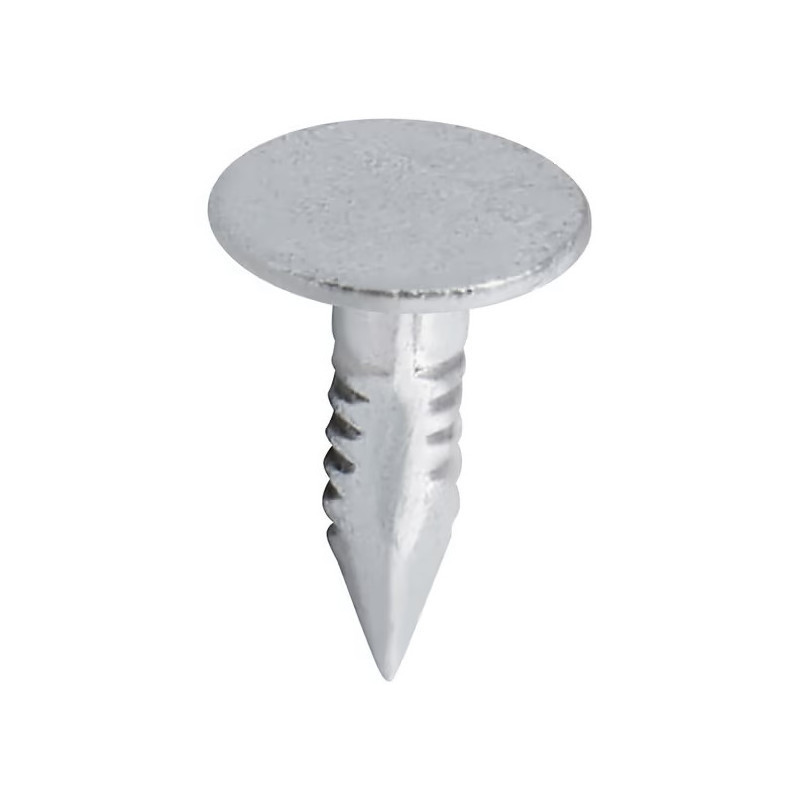 Clous pointes tête plate pour shingles et roofing - longueur 16mm - 500gr - Gardy Shelter