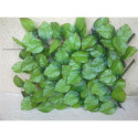 Treillis extensible feuilles de rosier 1x2m - Jet7garden