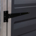 Abri de jardin en polycarbonate 1,25m² gris anthracite Voyager - Canopia by Palram