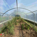 Serre tunnel 4 Saisons à pieds droits 3x4,5m avec bâche PE 200µ - Serres Tonneau