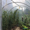 Serre tunnel Essentielle à pieds arrondis 3x6m avec bâche PE 200µ - Serres Tonneau