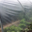 Serre tunnel Essentielle à pieds arrondis 3x6m avec bâche PE 200µ - Serres Tonneau
