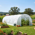 Serre tunnel maraîchère 3x8m BIANCA couverture PE armé - Green Protect