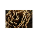 Canisse naturelle en bambou fendu - 1 x 3 m
