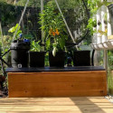Extension 3 grands plants pour kit aquaponique - MyFarm