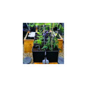 Extension 12 grands plants pour kit aquaponique - MyFarm