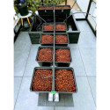 Extension 12 grands plants pour kit aquaponique - MyFarm
