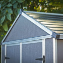 Abri de jardin RUBICON 5,6m² en aluminium et polycarbonate - Palram