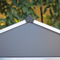 Abri de jardin RUBICON 5,6m² en aluminium et polycarbonate - Palram