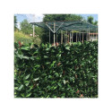 Haie artificielle photinia 1mx1m - France Green
