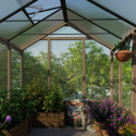 Serre en bois et polycarbonate transparent 15,3m² Natura - Canopia by Palram