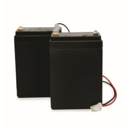 Kit de 2 batteries de secours BatteryGate 2 - Compatible MBA0095 - SCS Sentinel