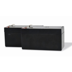 Kit de 2 batteries de secours BatteryGate 1-3 - Compatible MCO0124 - SCS Sentinel