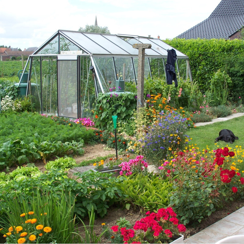 Serre de jardin S206H 16,91m² en aluminium et verre trempé ALULINE – ACD