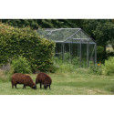Serre de jardin S206H 16,91m² en aluminium et verre trempé ALULINE – ACD
