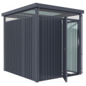 Abri de jardin 4,42m² en acier galvanisé gris anthracite Rheinfelden 78 - Vitavia