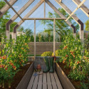 Serre de jardin 5,8m² Emilia en bois traité et verre trempé - Palmako