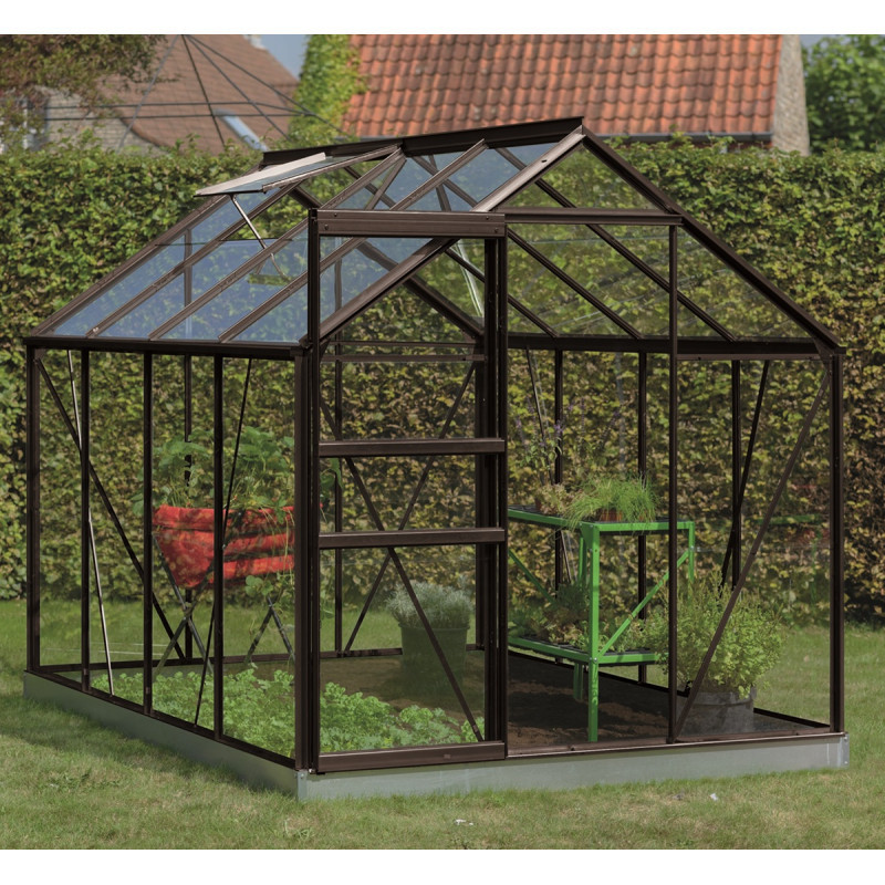 Serre Ivy Introgrow 5m² en aluminium noir et verre trempé 3mm – ACD