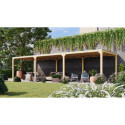 Pavillon 10,24m² en bois lamellé-collé Cubus avec 2 extensions - Karibu