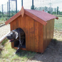 Niche à chien 0,77m² en bois FSC avec toit bitumé et plancher – HABRITA