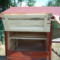 Poulailler en bois 16mm FSC non-teinté avec toit bitumé pour 6 à 10 poules