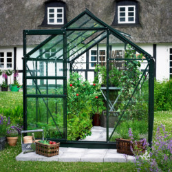 Serre de jardin 6,2m² verte et verre horticole Popular - Halls