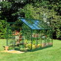 Serre de jardin 6,2m² verte et verre horticole Popular - Halls