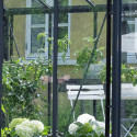 Serre de jardin 13m² anthracite en polycarbonate 10mm Premium – Juliana