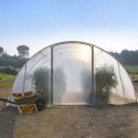 Serre tunnel maraîchère semi professionnelle 20,25m² - RICHEL