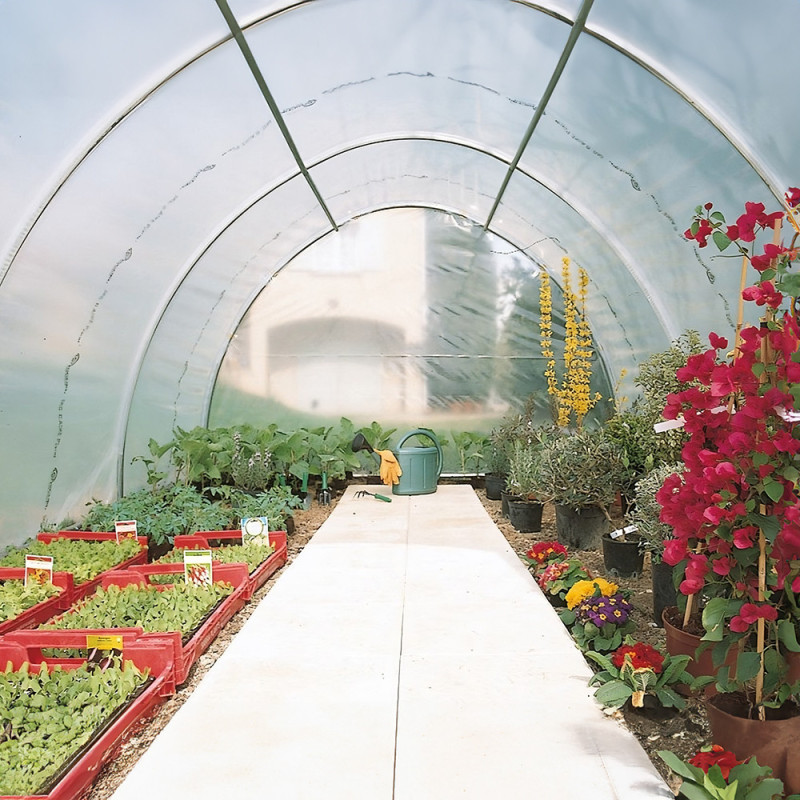 Serre tunnel maraîchère semi professionnelle 40,55m² avec 2 portes - RICHEL