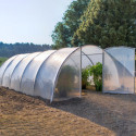 Serre tunnel maraichère semi professionnelle 60,75m² avec 2 portes - RICHEL