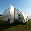 Serre tunnel maraichère semi professionnelle 60,75m² avec 2 portes - RICHEL