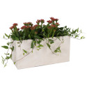 Jardinière en fibre de terre 60x30xH.30cm blanc - MegaCollections