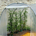 Serre tunnel de culture pieds droits 6m² RICHEL